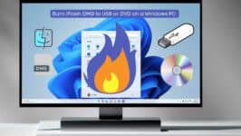 Burn DMG to DVD or USB on Windows PC