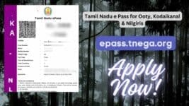 TN ePASS