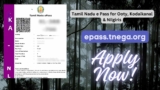 How to get a Tamil Nadu (TN) ePass for Ooty & Kodaikanal? Apply at epass.tnega.org.